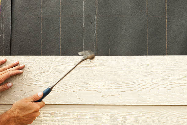Affordable Siding Repair and Maintenance Services in Eastport, ME